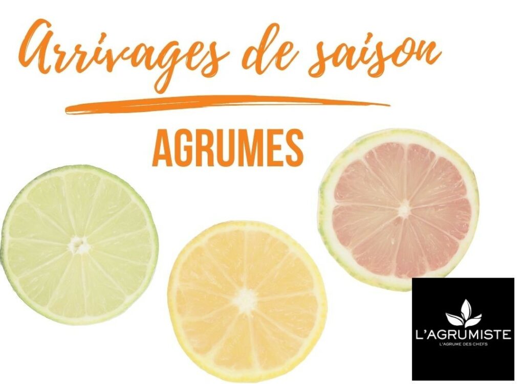 Agrumes L'Agrumiste - Méchinaud citron